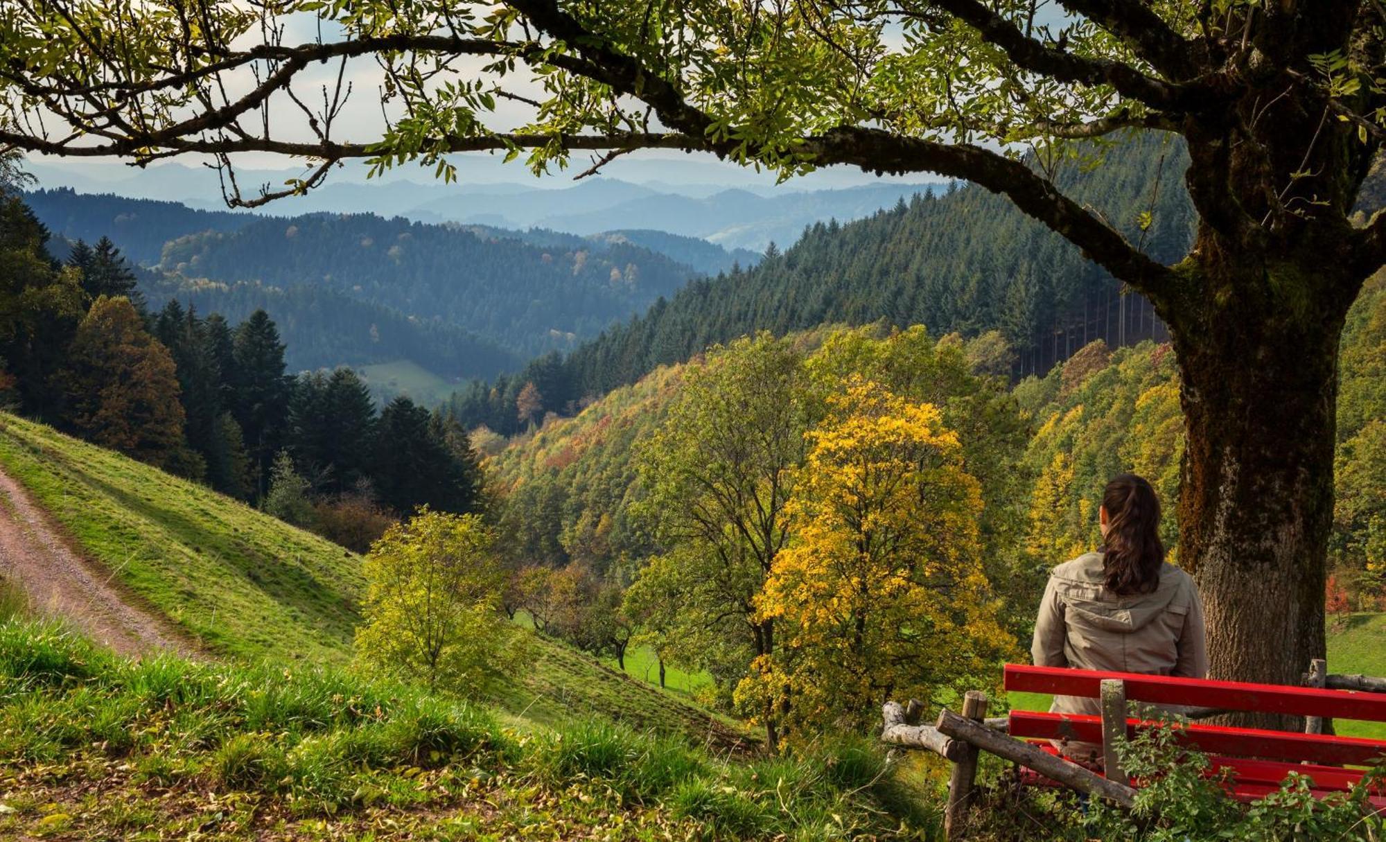 Ferienwohnungen Golla-Lang Оберхармерсбах Экстерьер фото